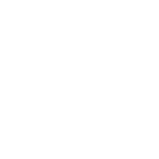 Logo transparent light